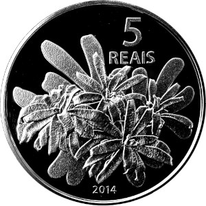 5 Reais Bromélia